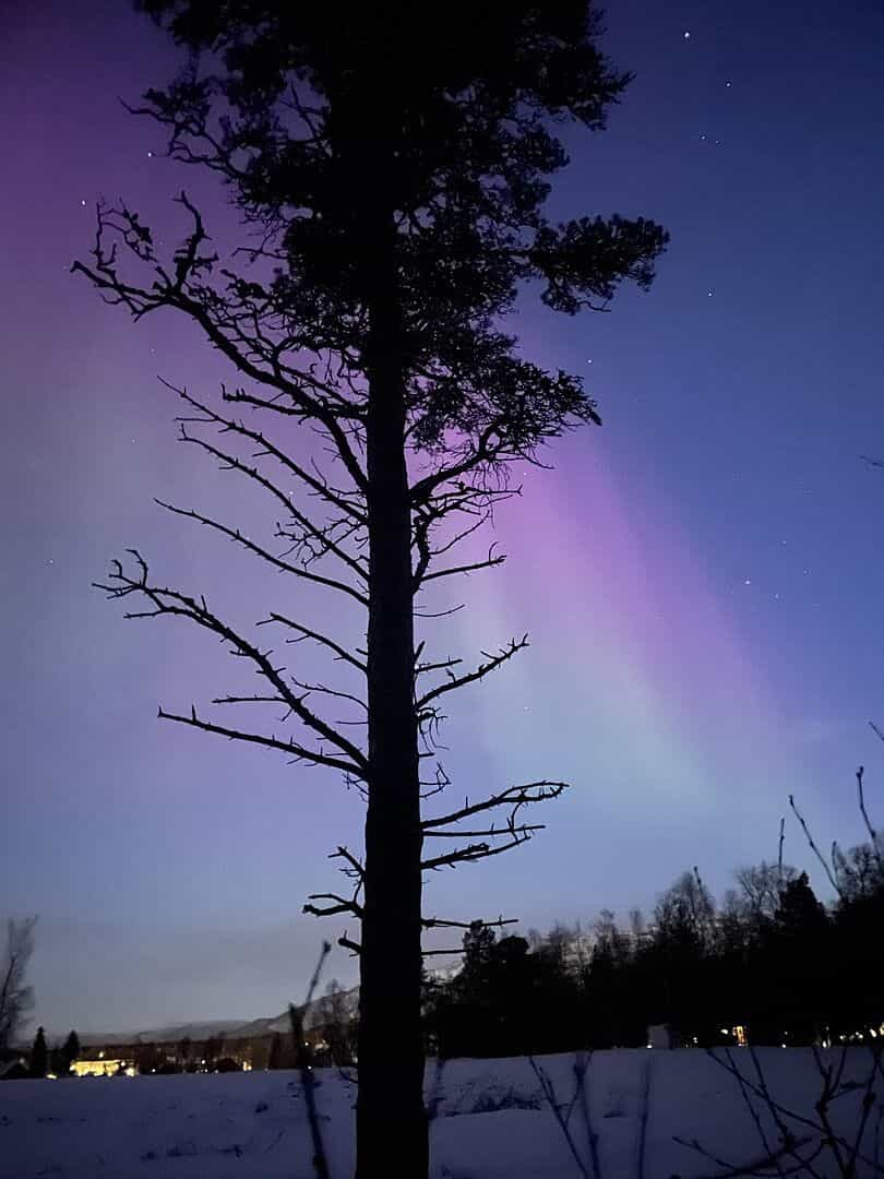 Unforgettable holiday