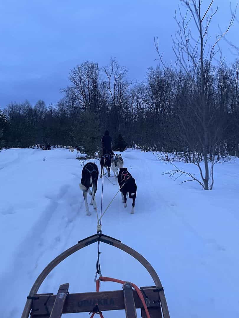 Unforgettable holiday