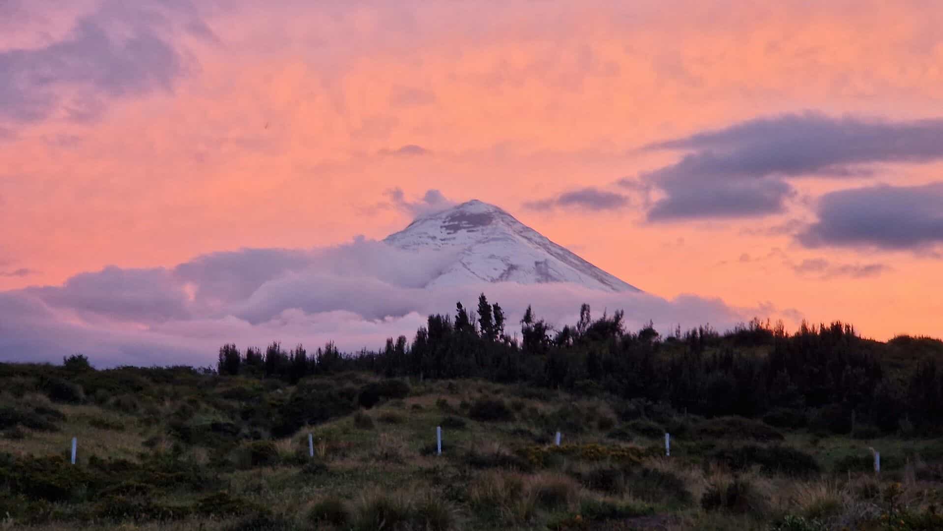 Incredible and safe!