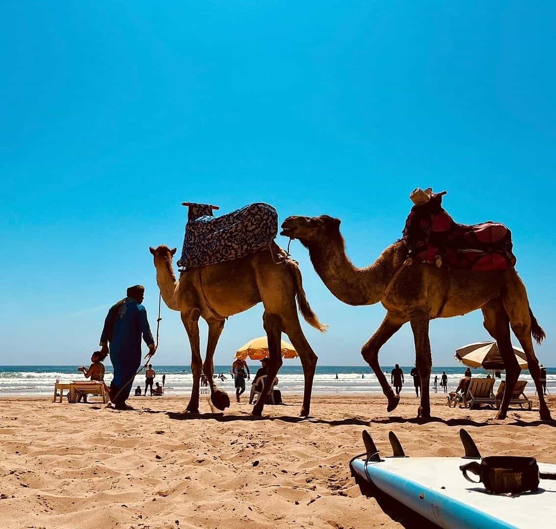 First Rate Surfing adventure