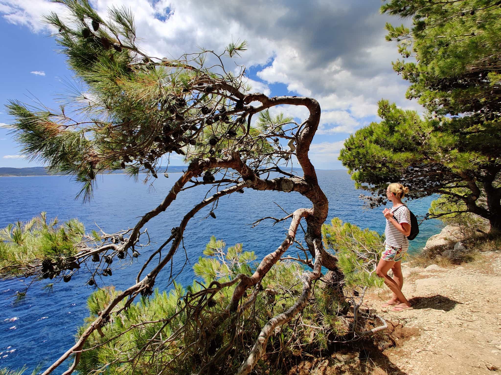 Croatia Coastline. Photo: shutterstock_1861309540