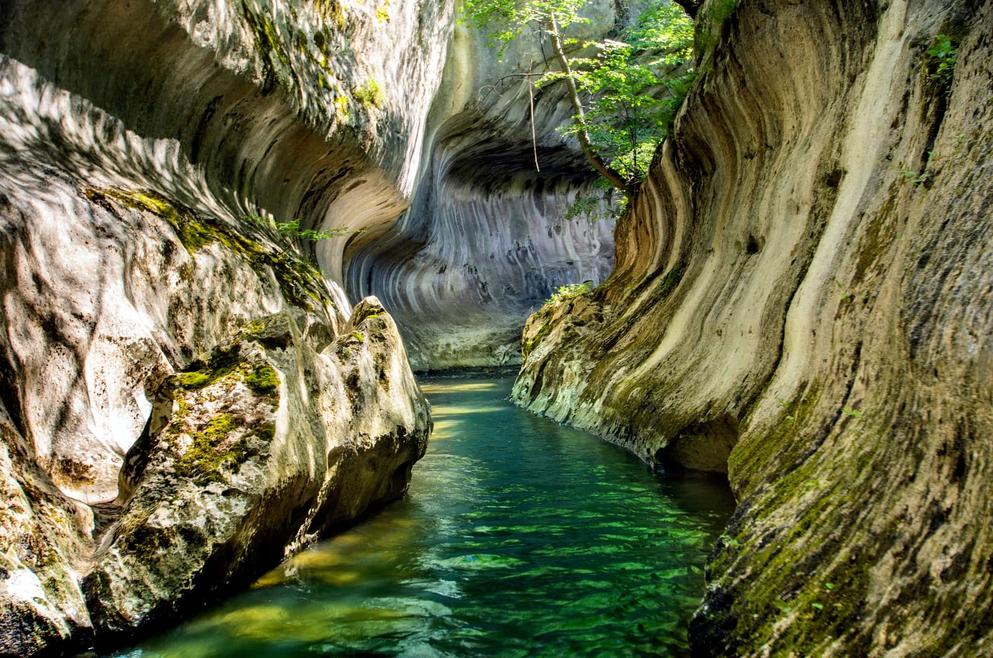 The sculpted rock and green waters of Banitei Gorge, Romania.