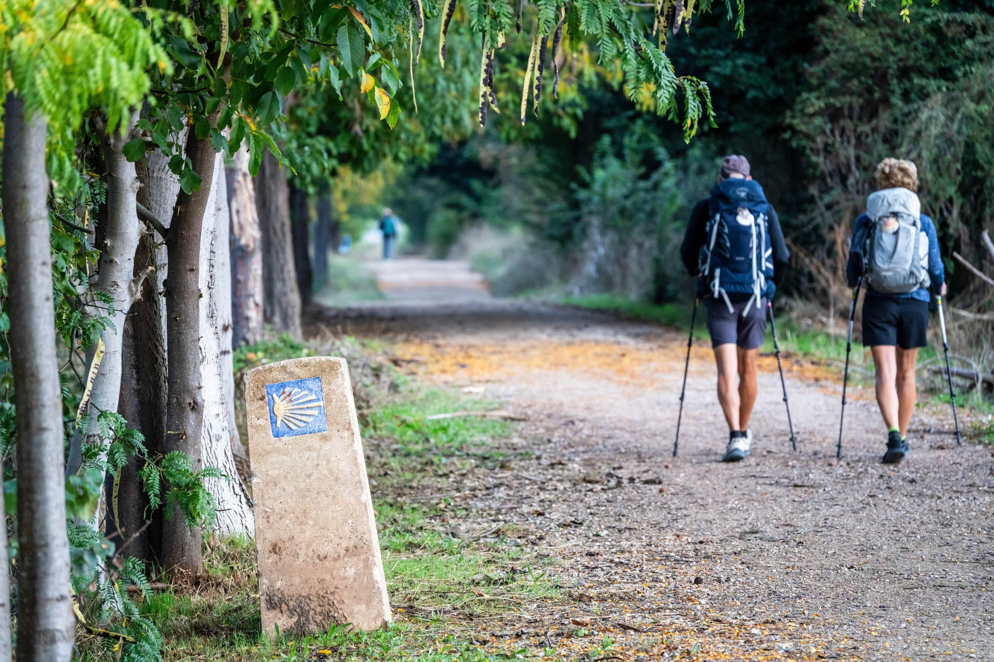 Hike the Camino de Santiago in Spain