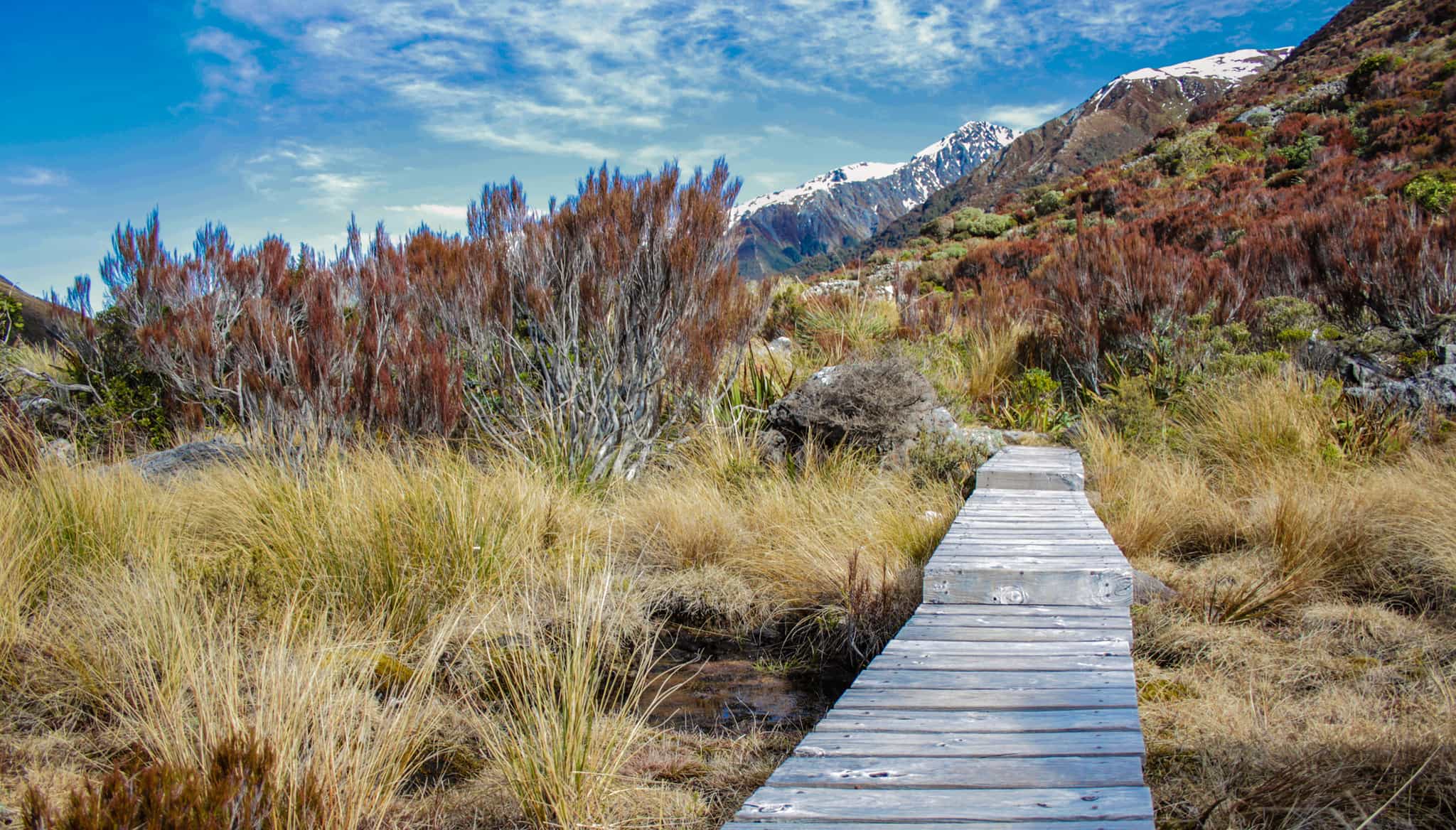 Arthur's Pass National Park, New Zealand.