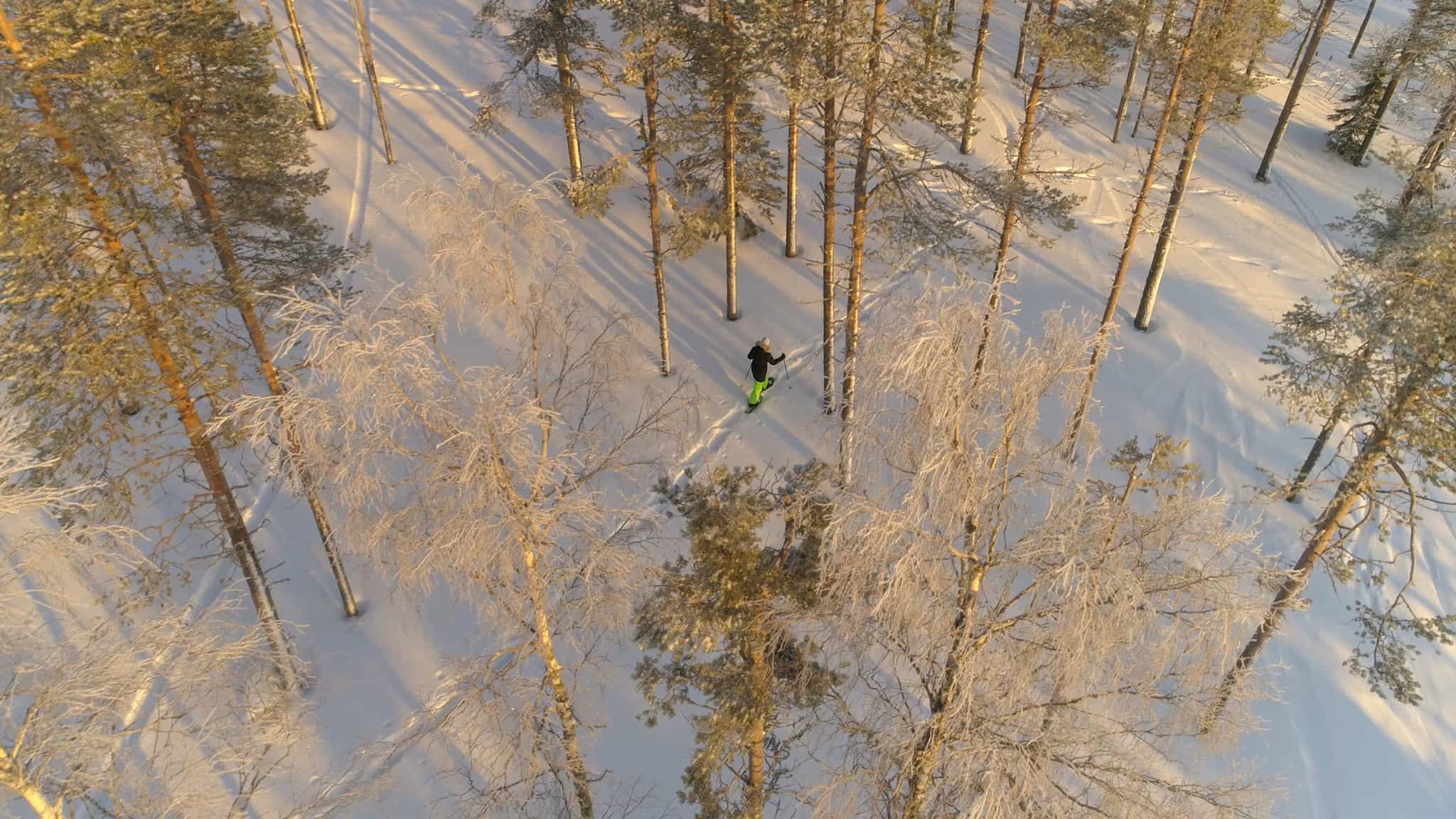 Aerial view of person snowshoeing through the forest in Lapland.