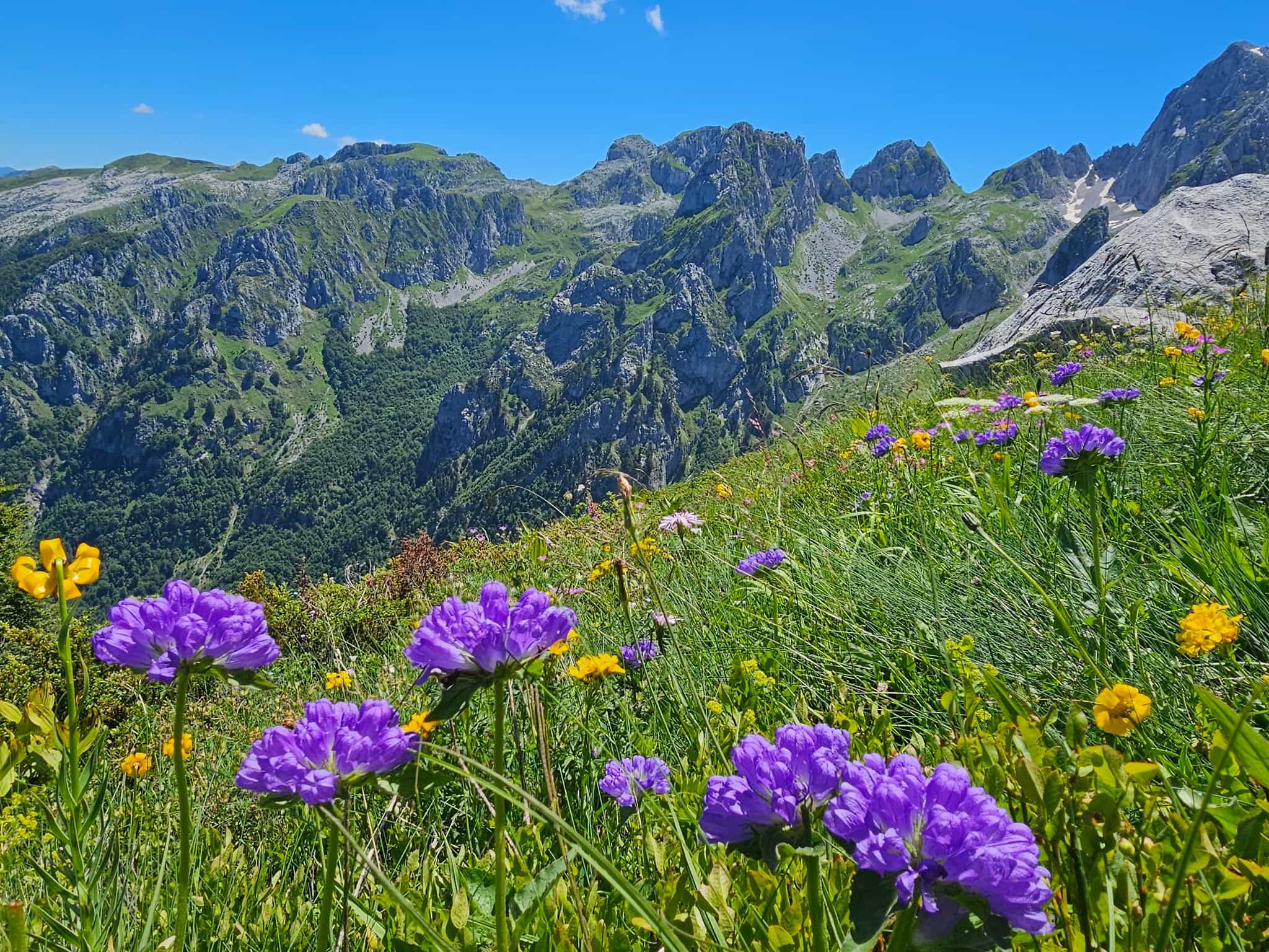 Green landscape near Taljanka and Popodija, Albania