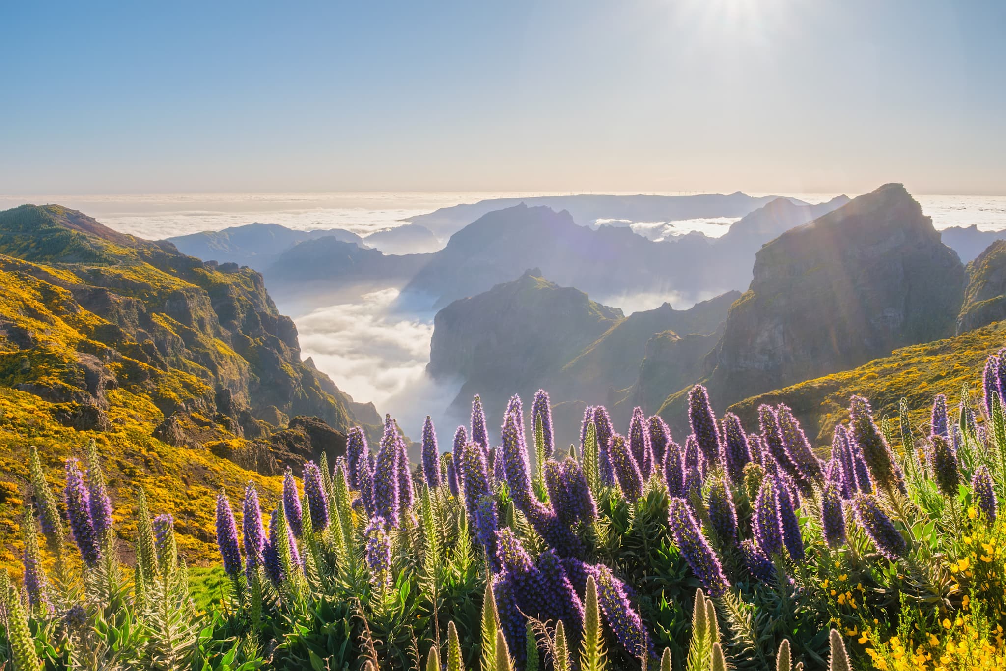 Premium: Hike the Trails of Madeira