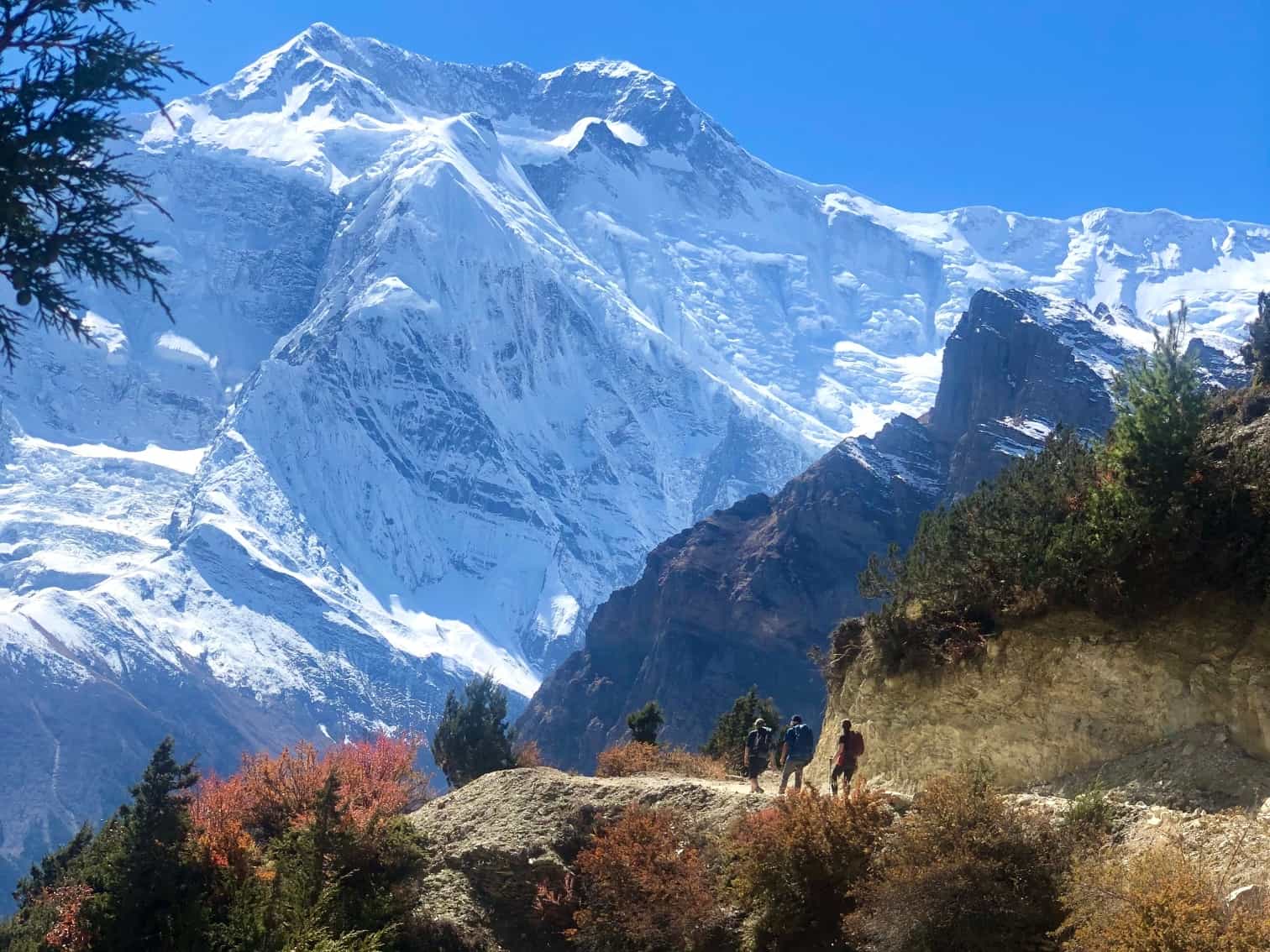 Annapurna Circuit Trek, Nepal. Photo: Customer/Jane Swann