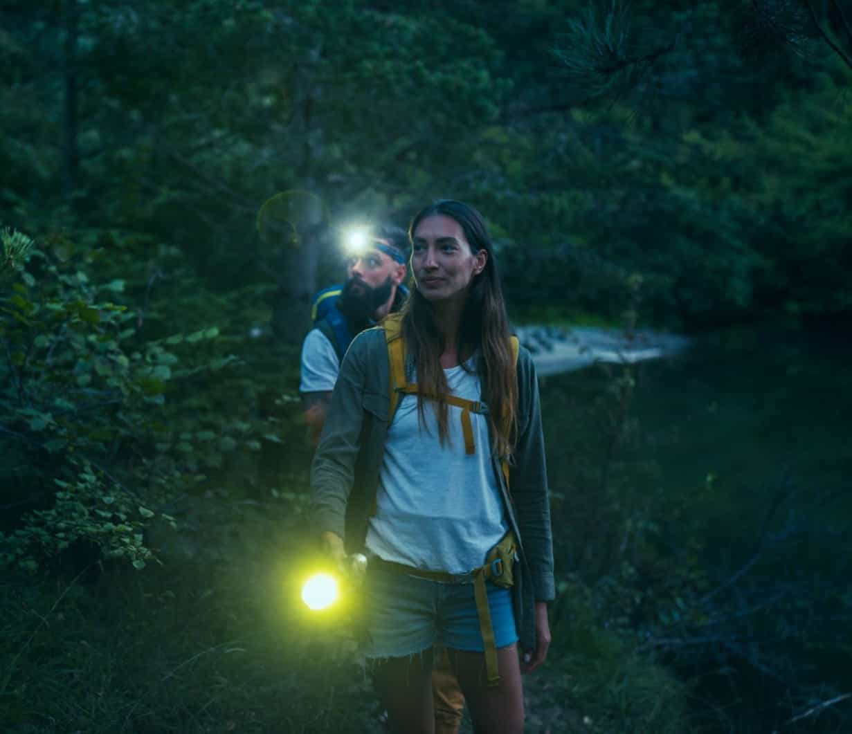 5 Tips for Exploring Nature at Night, With Chris Salisbury