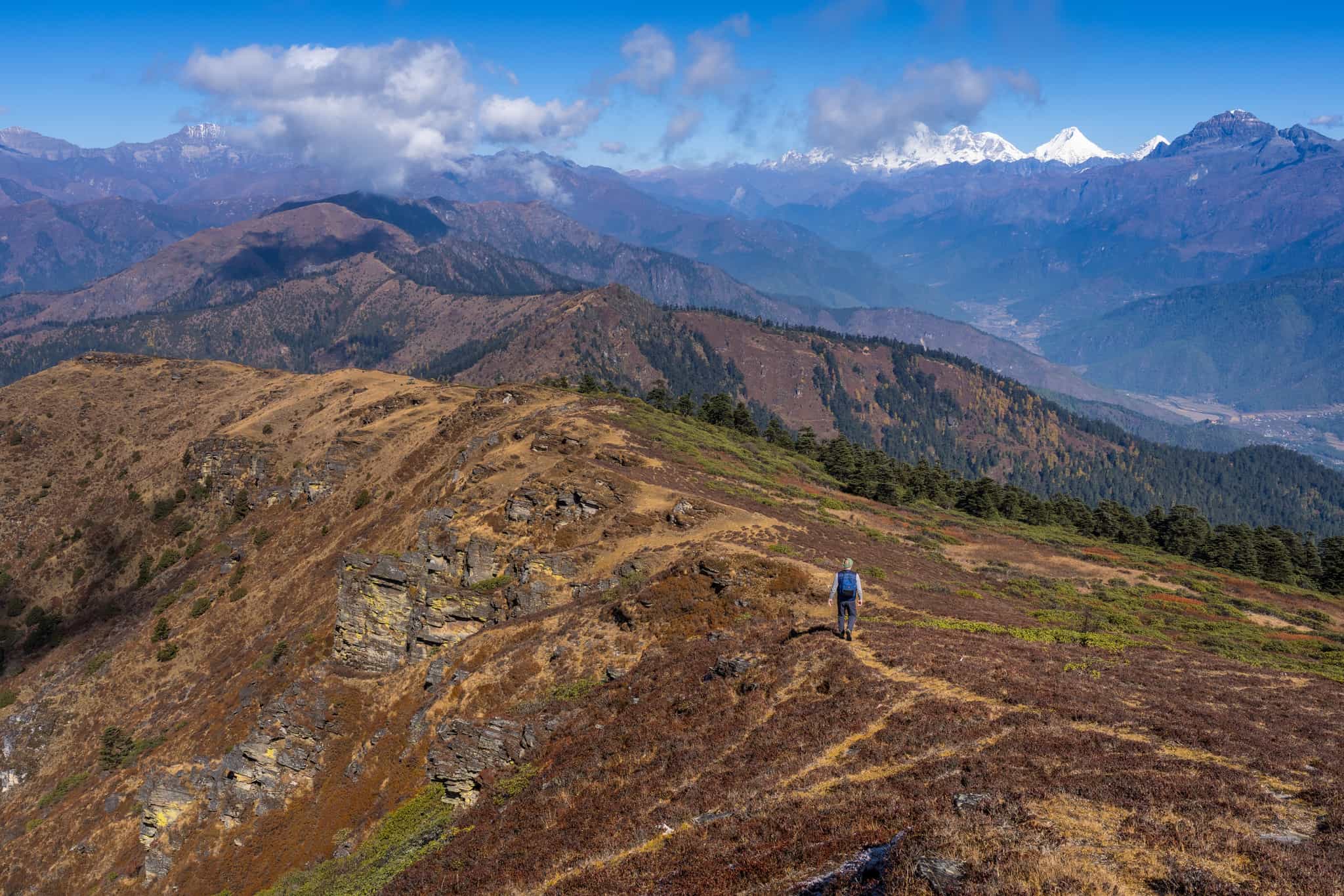 Hiker on a trail from the Chele la Pass, Bhutan