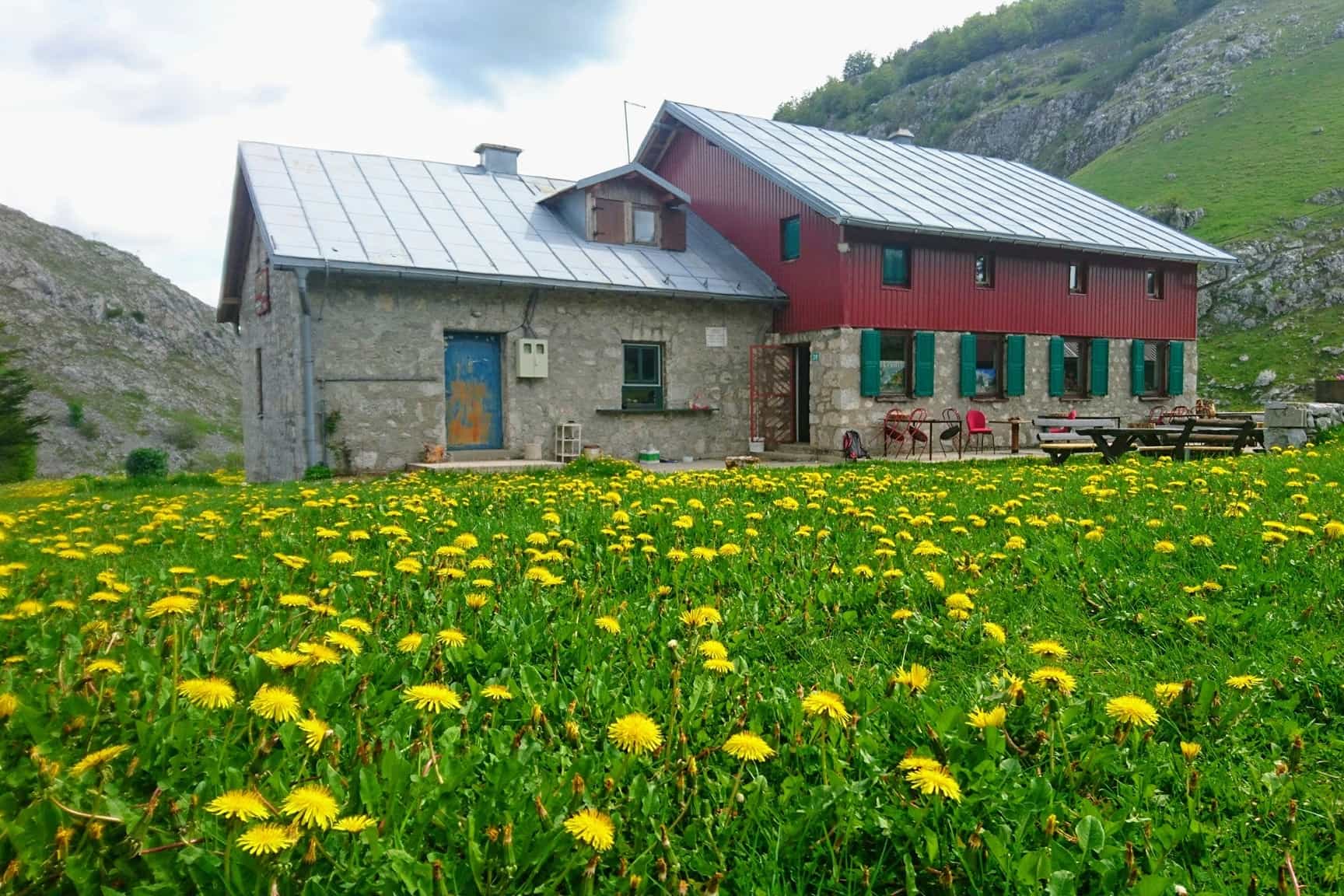 Vrela Mountain Hut with a field of wildflowers