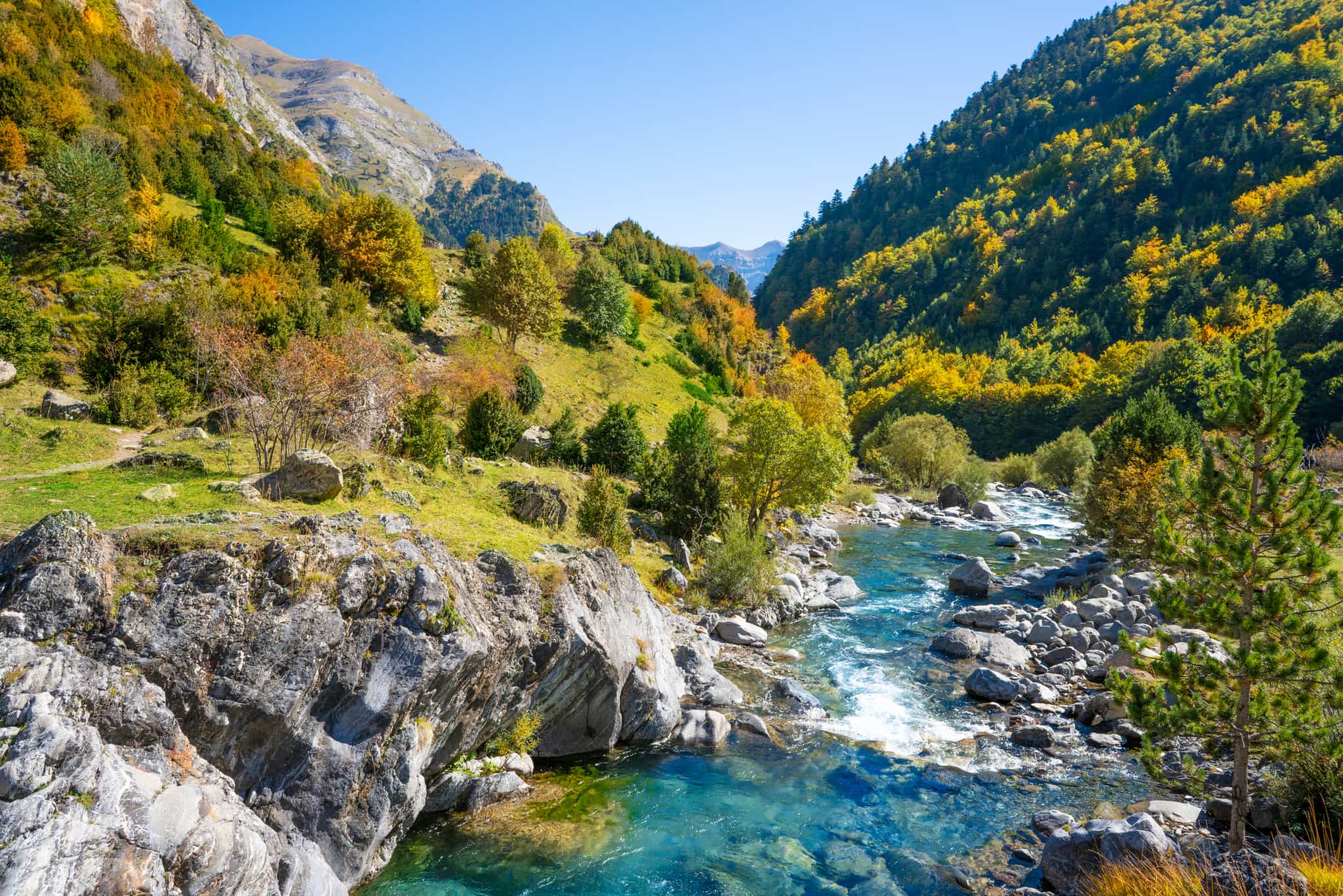 Rio Ara River, Ordesa Valley, Pyrenees. Photo: GettyImages-1350721554
