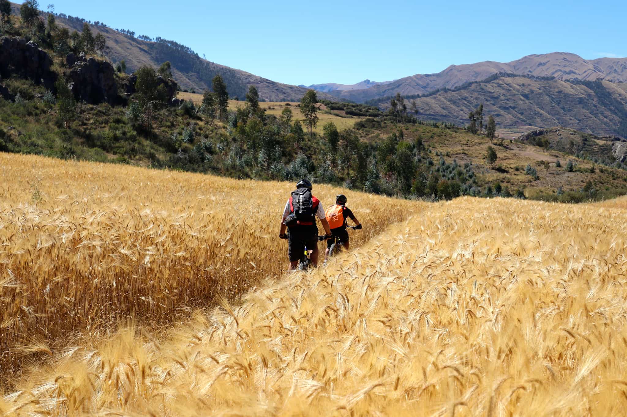 Cycling through fields, Pagina Titulo, Peru