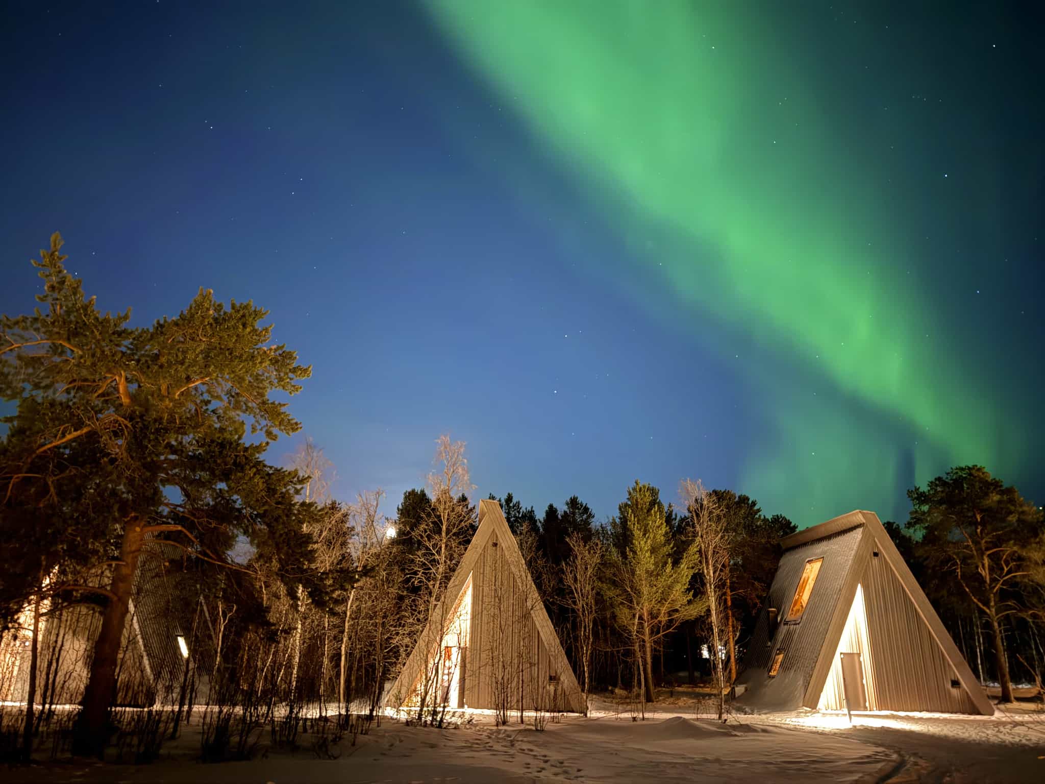 Forest Suite, Holmen Husky: source: Holmen Husky (host)