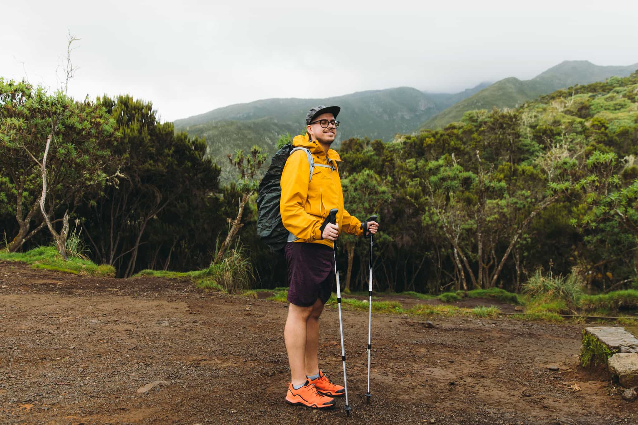 Hiker in the forest on Mount Kilimanjaro, Tanzania.