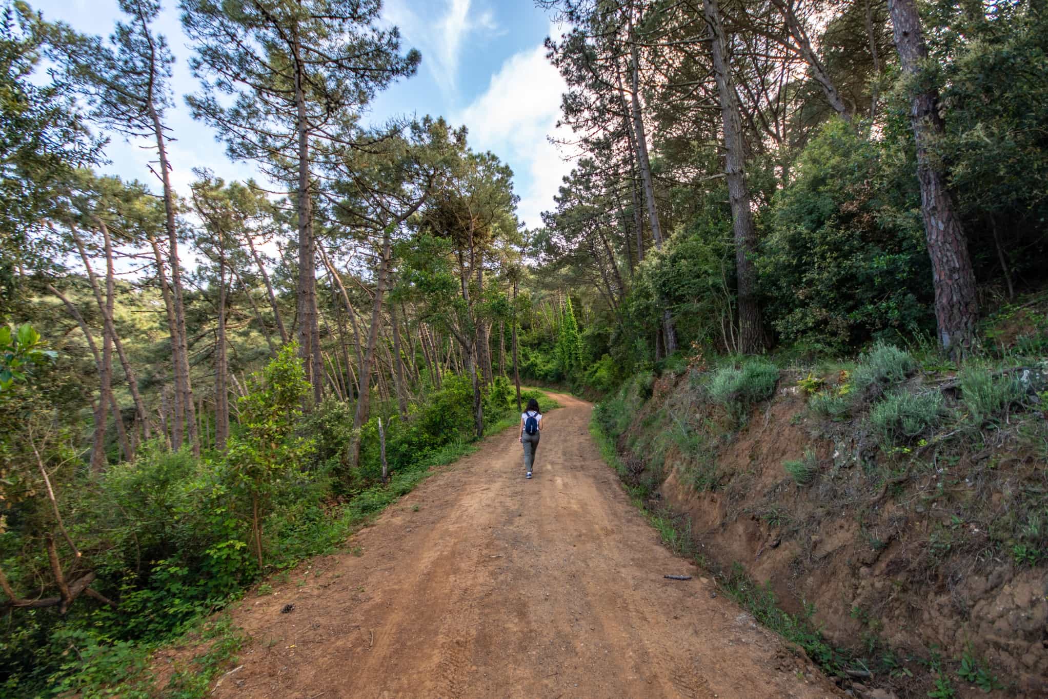 Hiker on Monte Orello, Elba Island