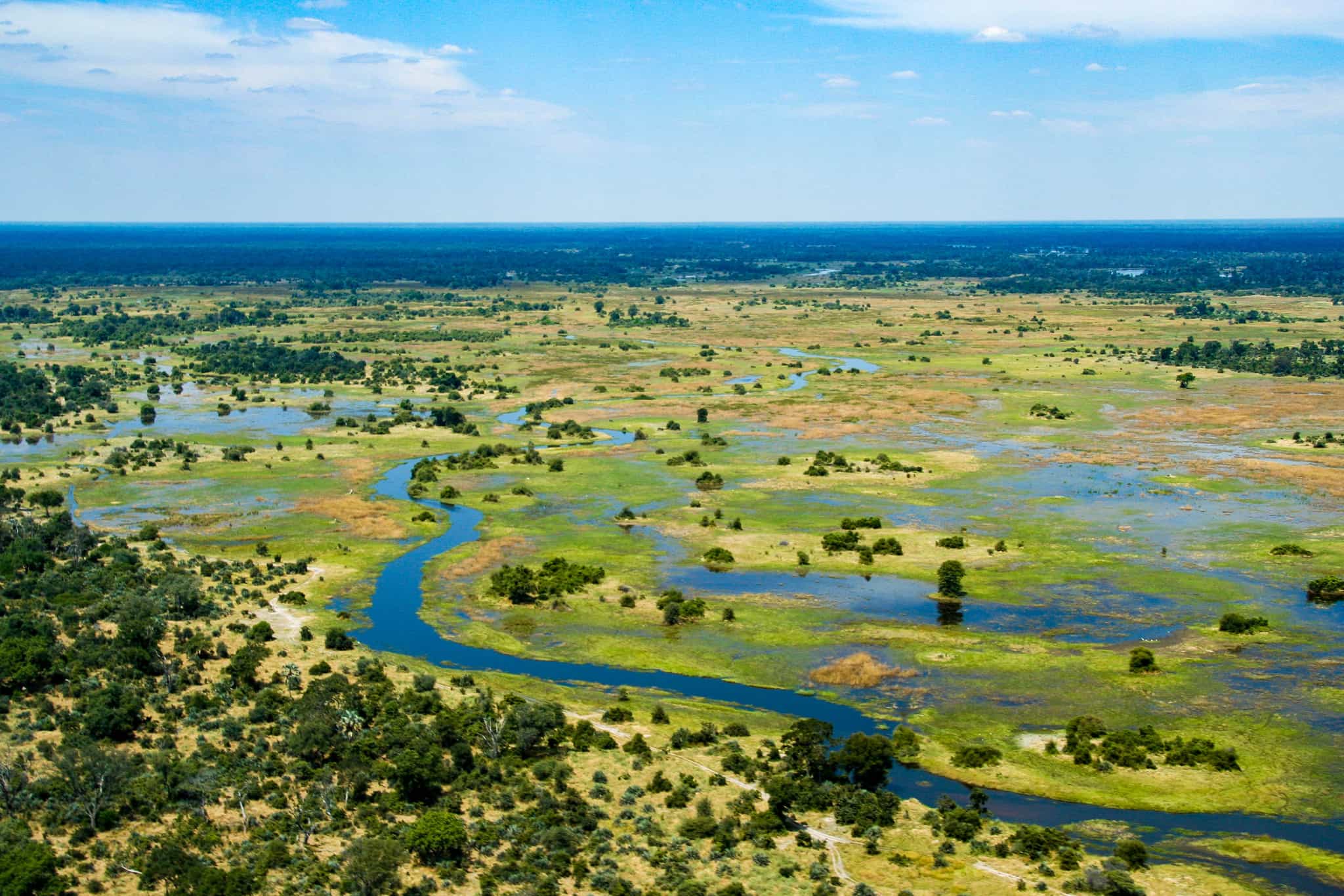 Aerial shot of the Okavango Delta in Botswana
