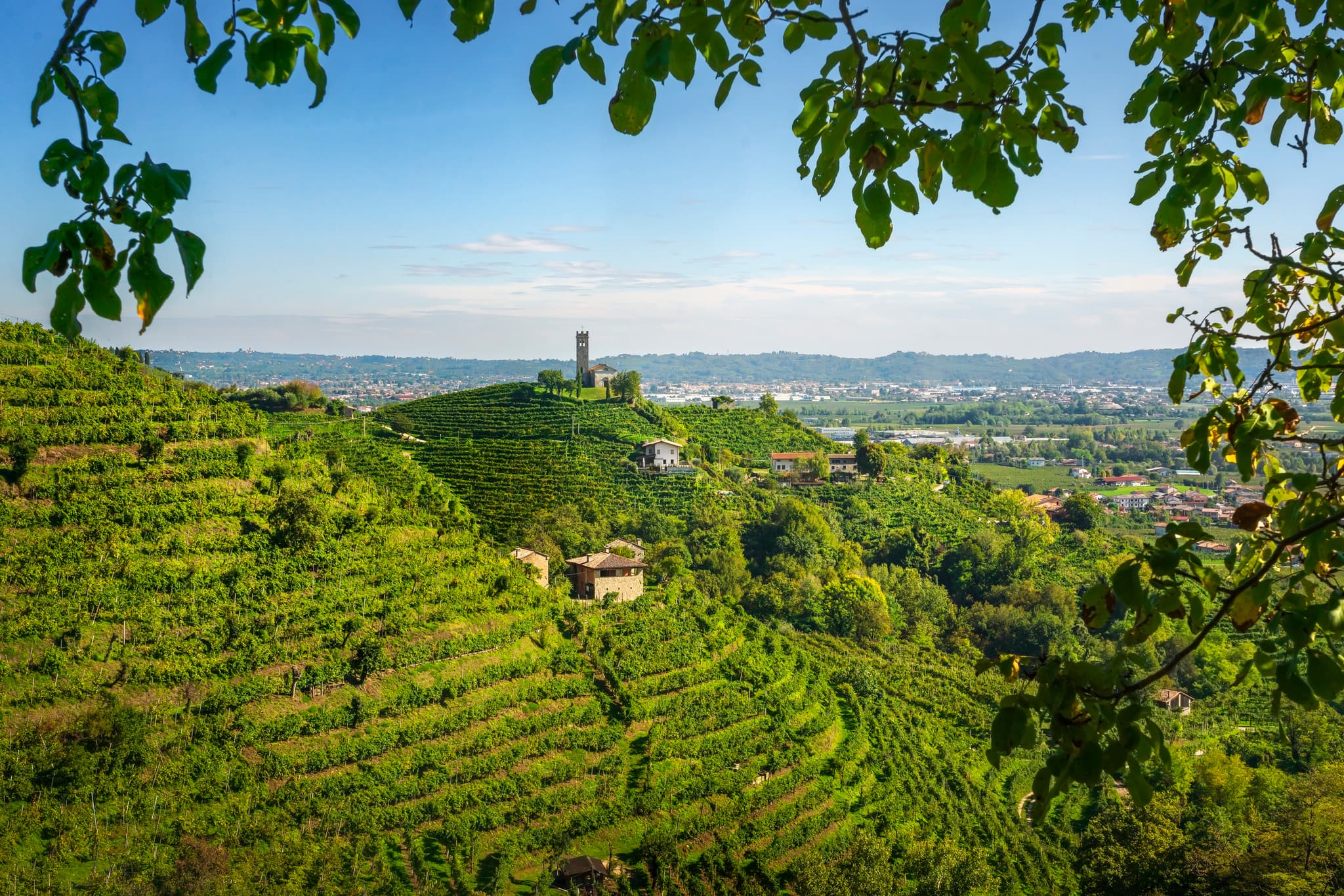 Hike, E-Bike and Wine in Italy's Prosecco Hills