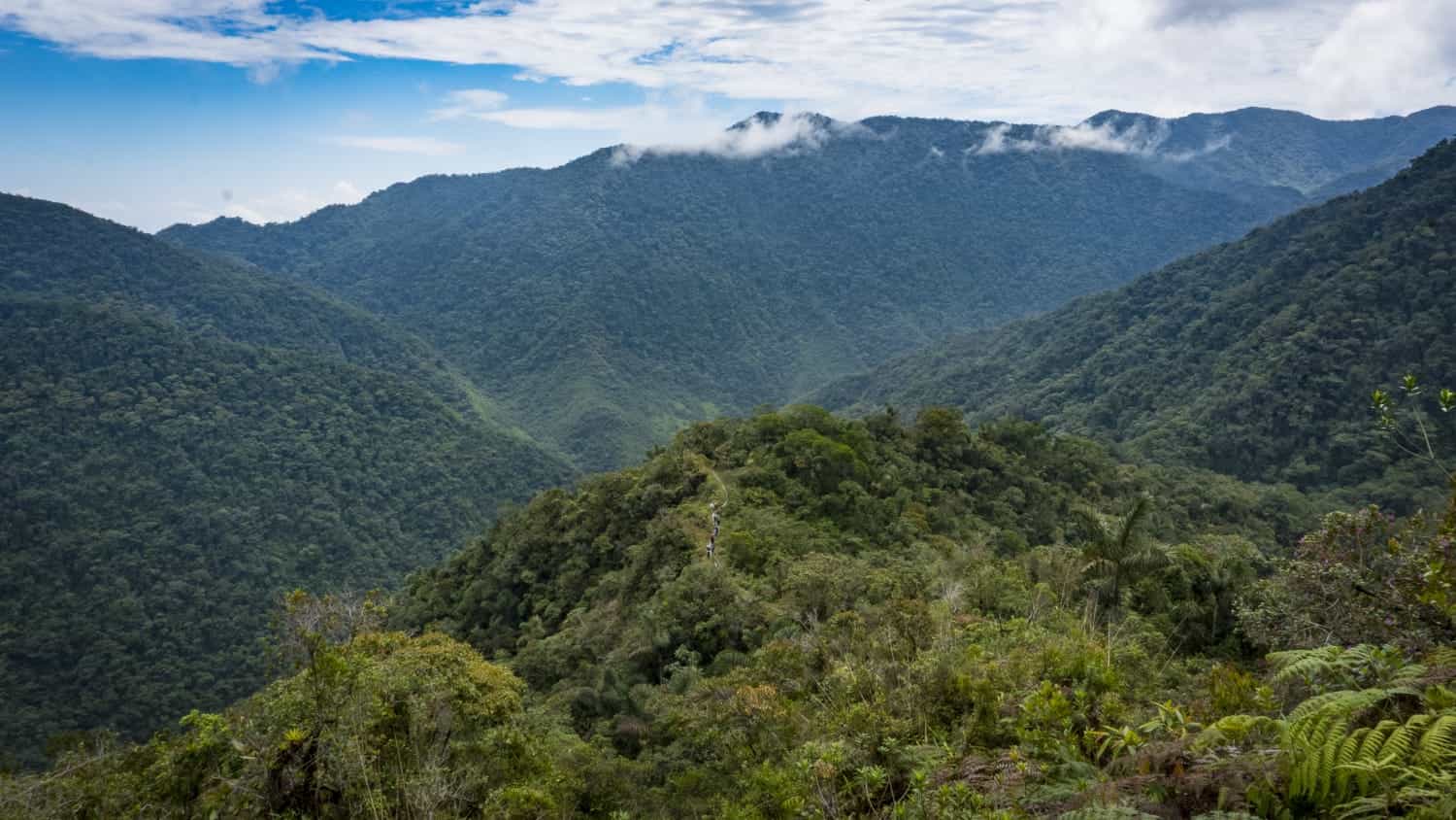 Jungle Expedition to the heart of Colombia
