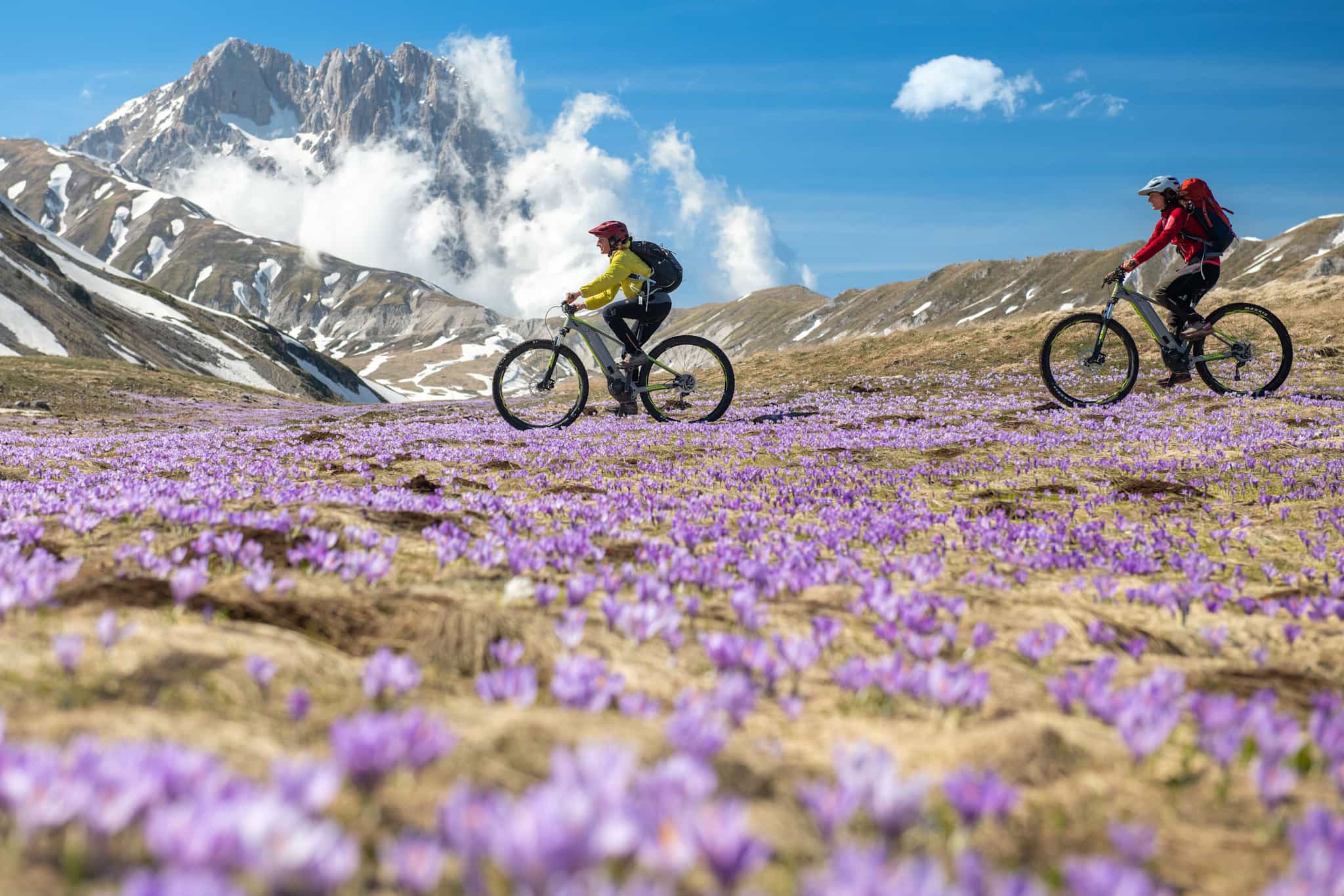 Two cyclists on ebikes riding on Campo Imperatore in Italy, with purple wildflowers in the foreground.