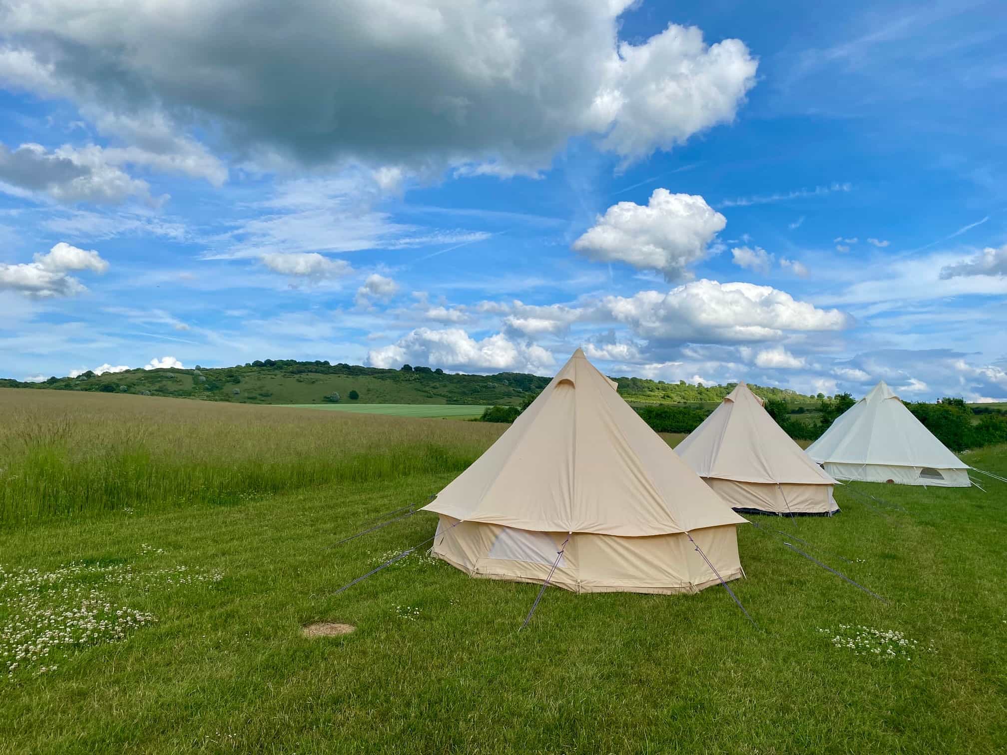Bell tents at the meadow campsite in the Chilterns