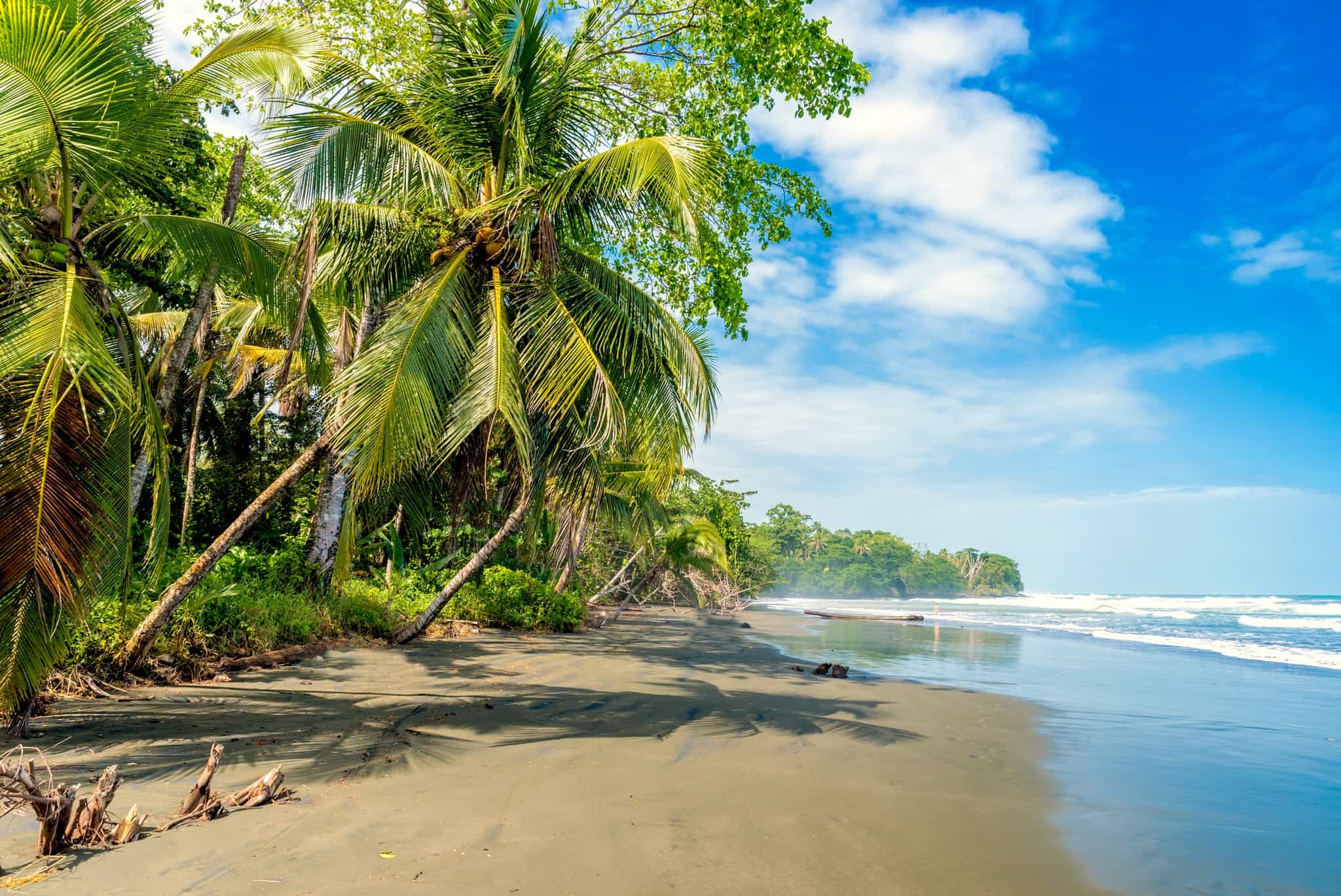 Playa Negra - black beach at Cahuita, Limon - Costa Rica - tropical and paradise beaches at caribbean coast