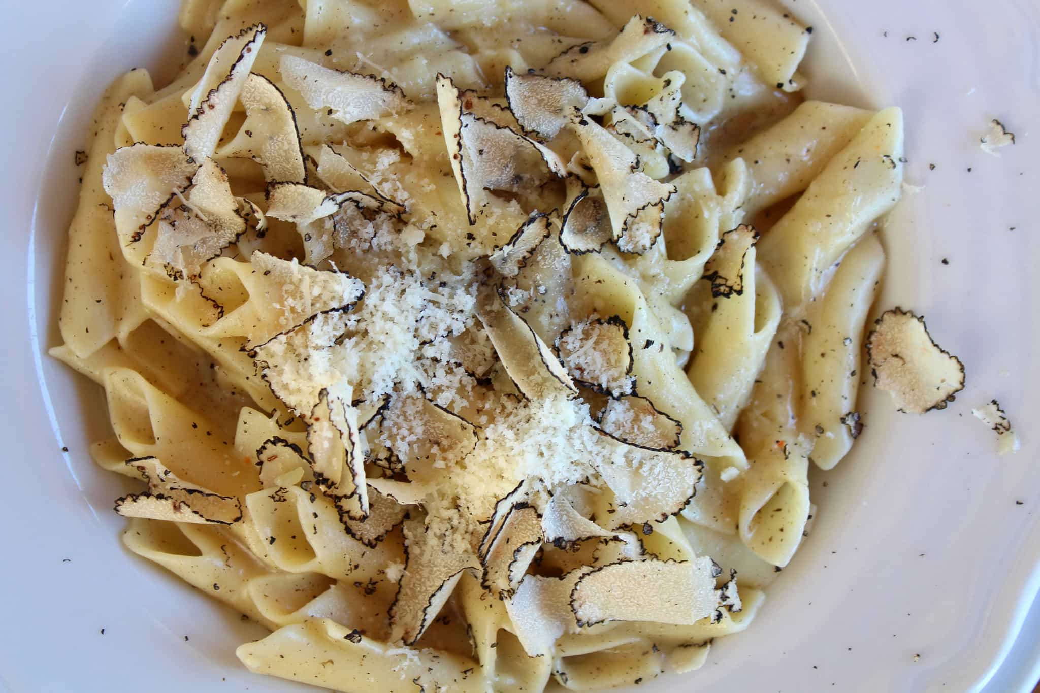 Truffle Pasta in Istria Photo: GettyImages-1401734455