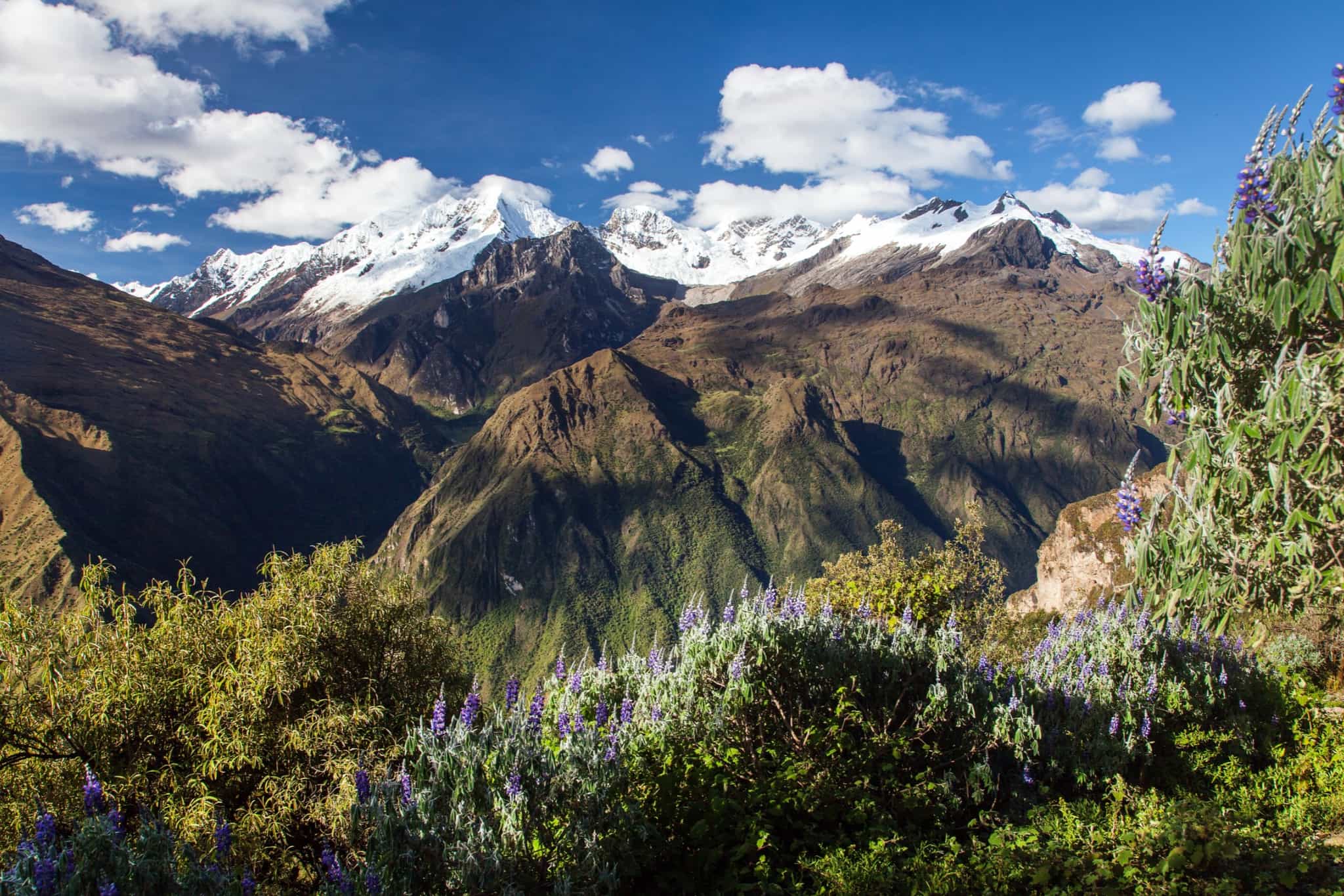 View of the snow-capped Andes from the Choquequirao trail. Photo: Canva link:https://www.canva.com/photos/MAEQiXOGgWs-andes-mountains-choquequirao-trek-peru/