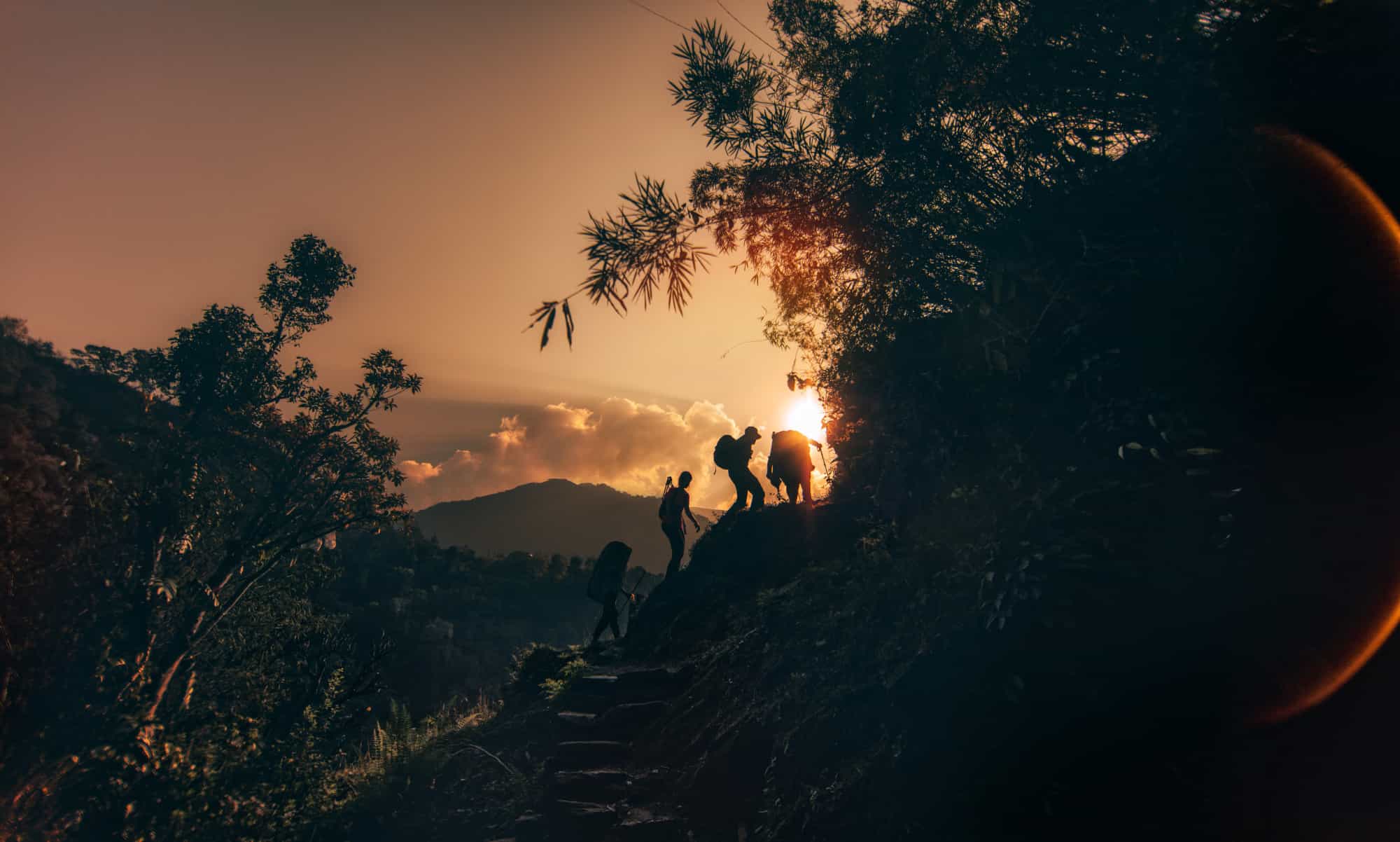 Hikers climbing up the steps through the jungle of Annapurna Range on Himalayas, Nepal. Photo: GettyImages-521430248