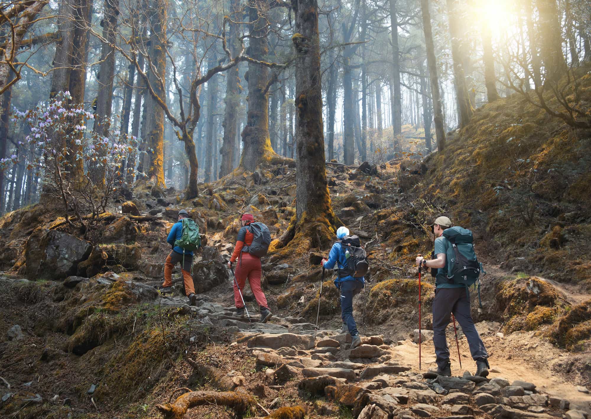 Trekkers on a section of the Druk Path, Bhutan.
