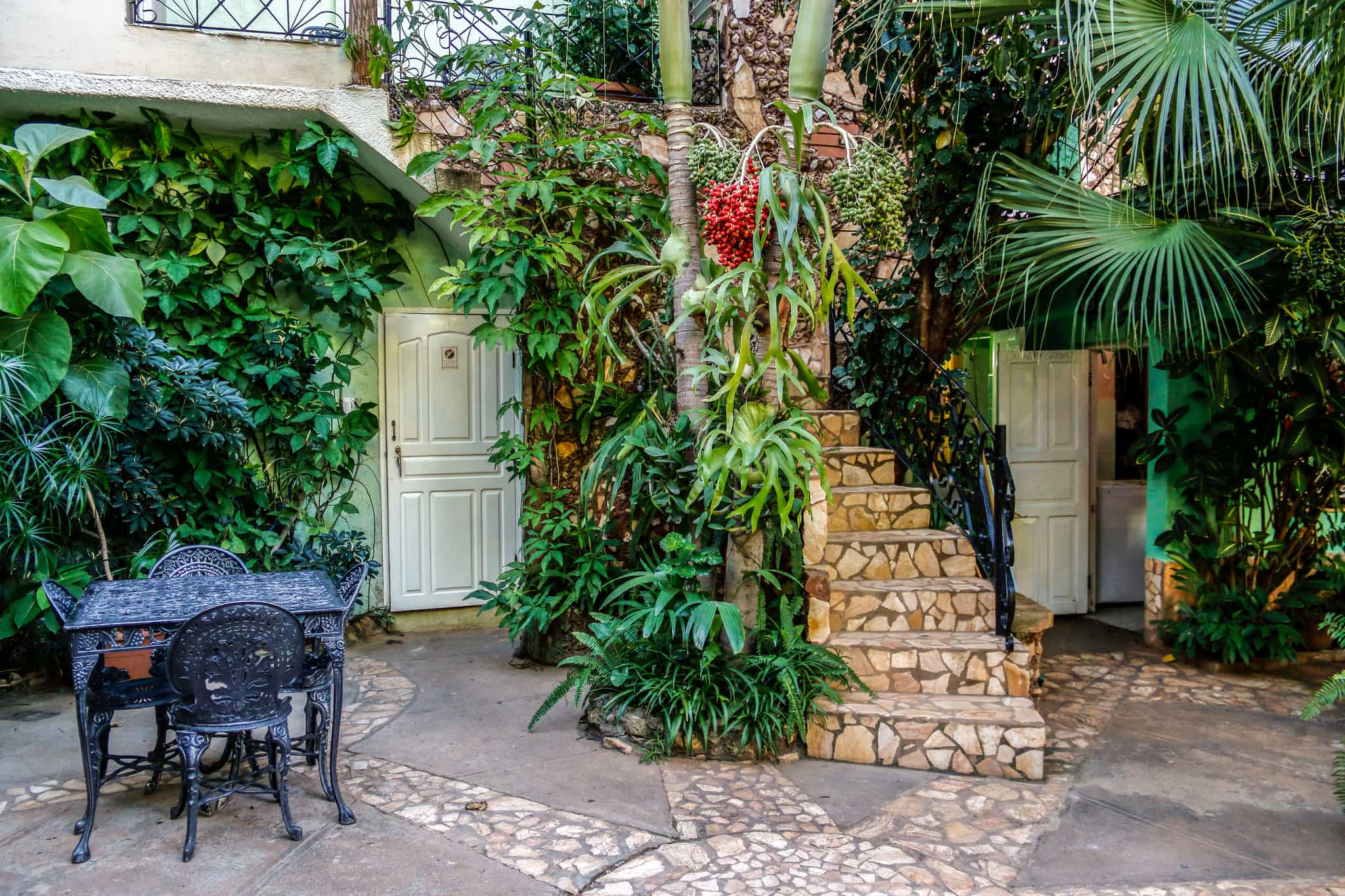 Garden of a casa particulares in Cuba