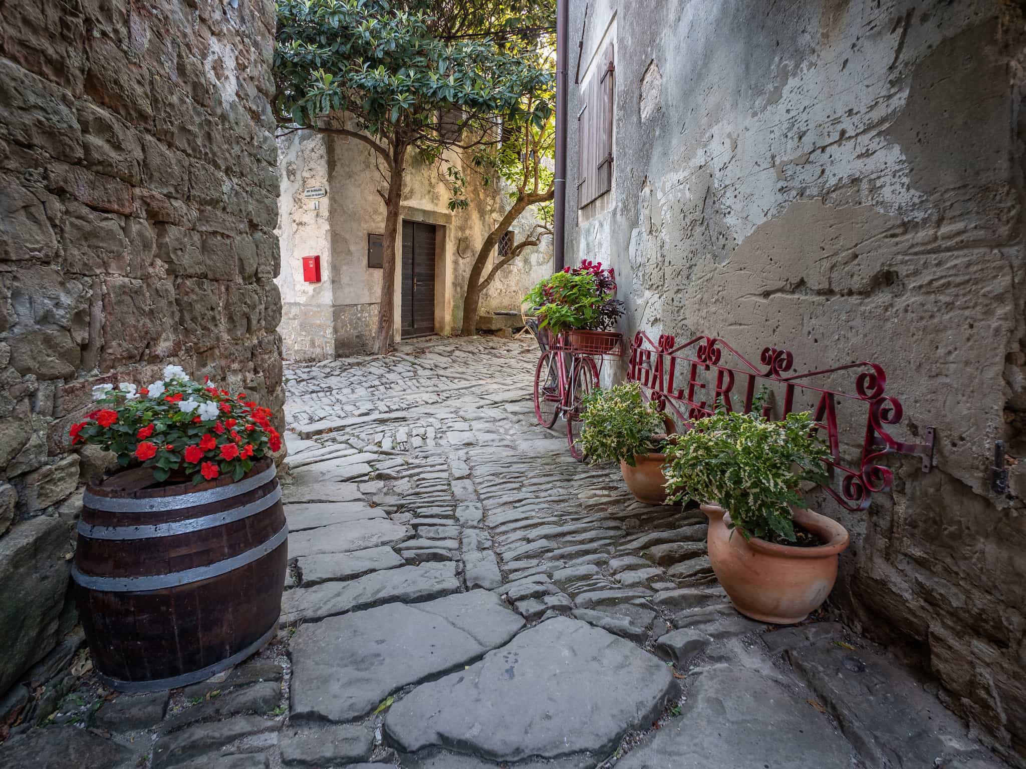 Motovun Croatia, Photo: GettyImages-1876701037