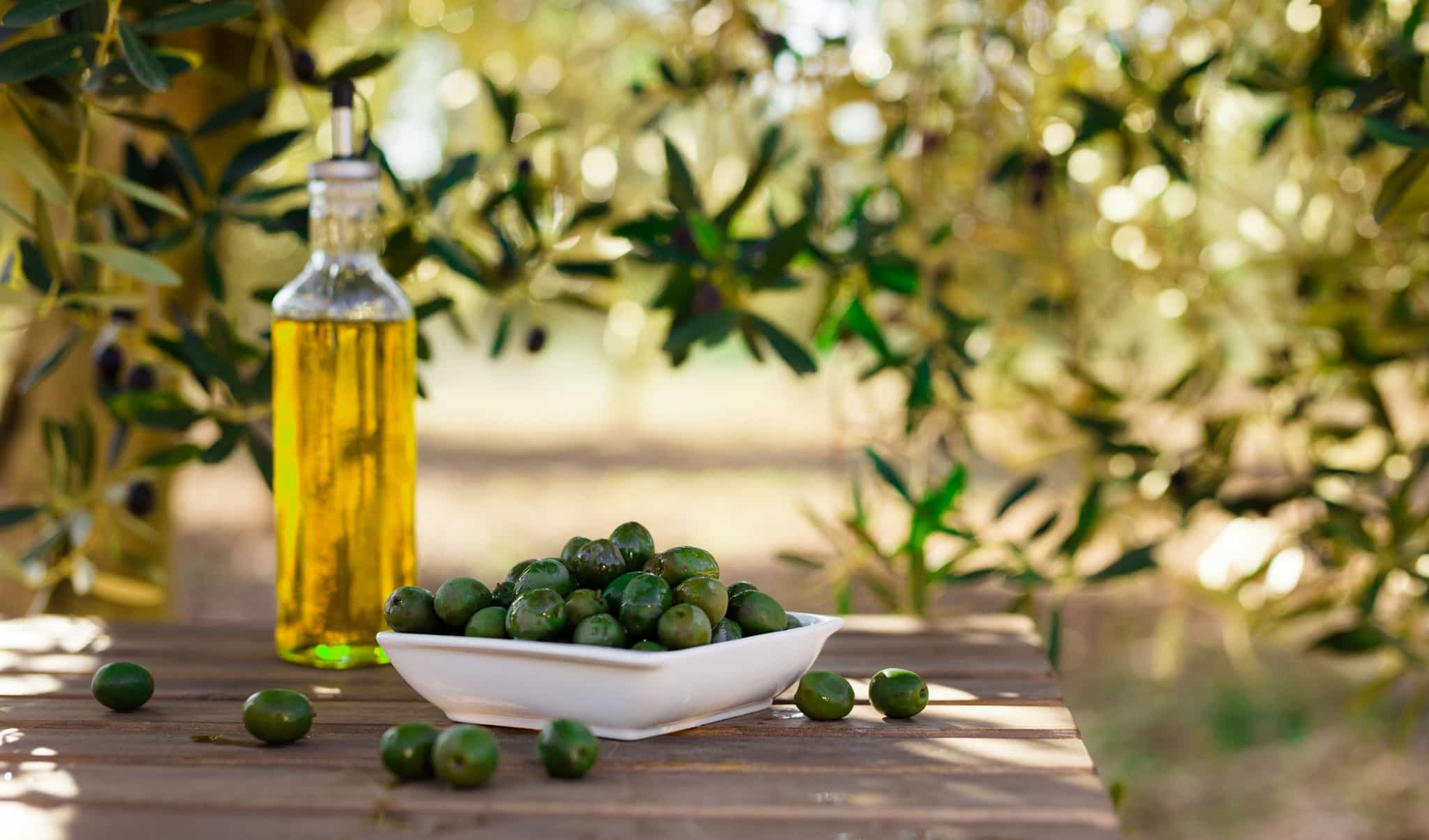 Olive oil tasting, Greece.