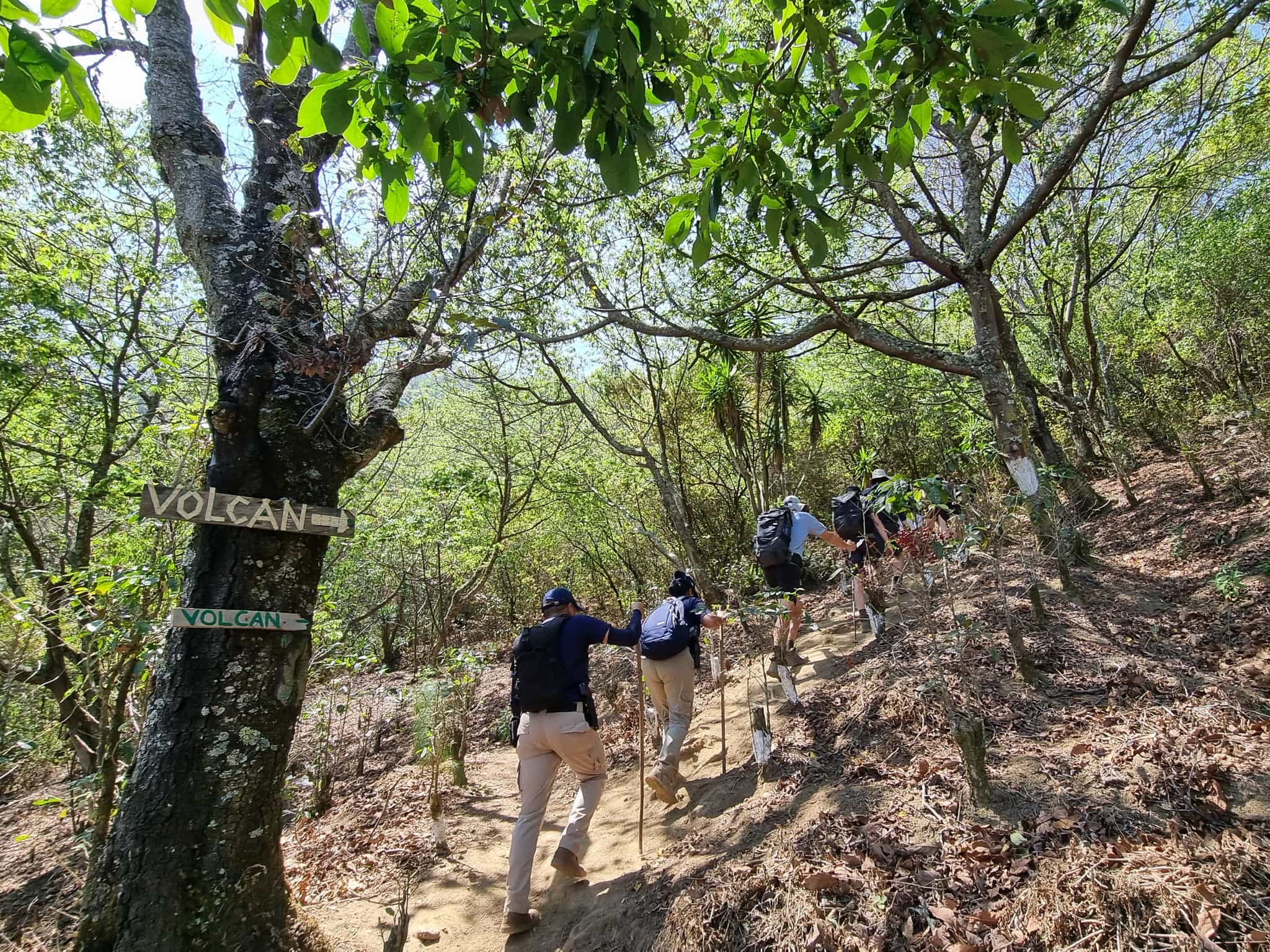Group hiking up through forest at San Pedro Volcano, Guatemala.